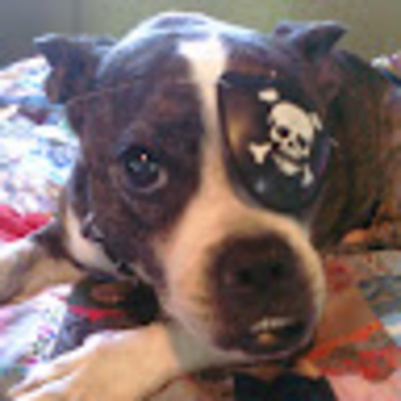 Meet your Posher, Sirkka - Picture 1 of 1